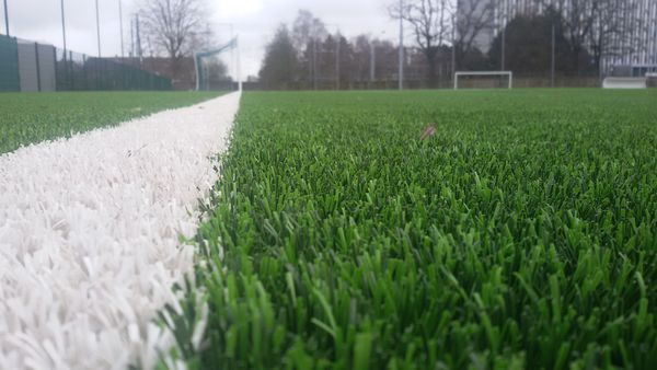 verlangen Seizoen Soms Koning Voetbal' floreert in Florange dankzij kunstgrasveld - Nieuws | Lano  Sports, artificial grass solutions